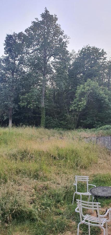 Ancien Relais De Chasse A 35 Min Du Circuit 24H Du Mans Acomodação com café da manhã Le Lude Exterior foto