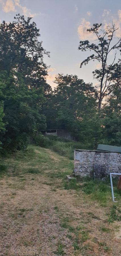 Ancien Relais De Chasse A 35 Min Du Circuit 24H Du Mans Acomodação com café da manhã Le Lude Exterior foto